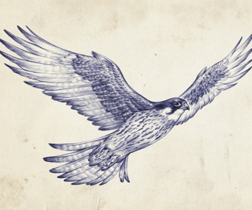 Alex Ferreiro - Mitte Barcelona