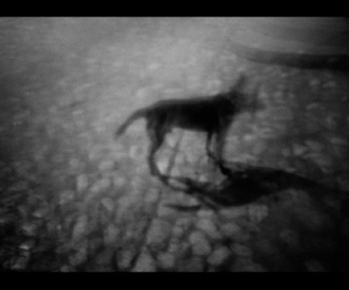 Flaya Arnoldi - Mitte Barcelona