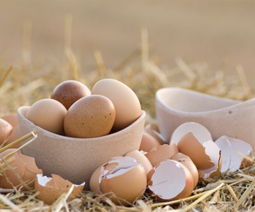 Marina Parramon - Mitte Barcelona